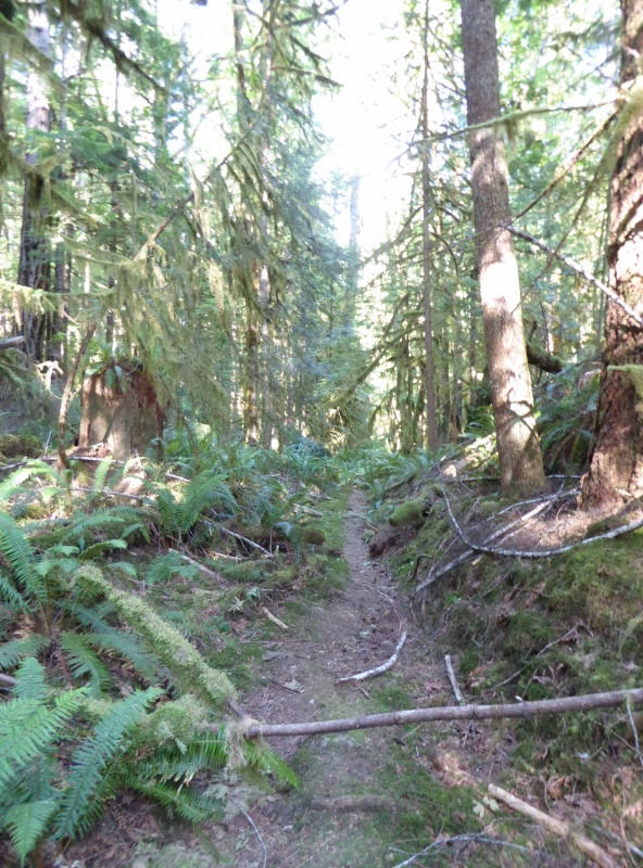 Unmaintained trail from Melanie Cove to Laura Cove