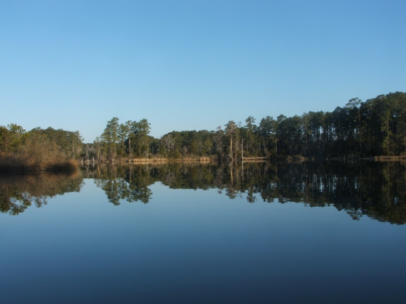 Upper Goose Creek  at GCSP(21FEB10)
