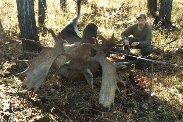Upside down moose.JPG