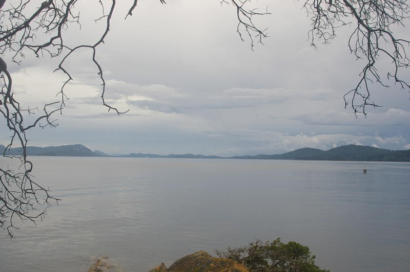 View at Panther Point, Wallace Island