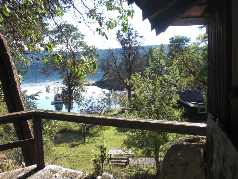 View from an abandoned cabin, Conover Cove.