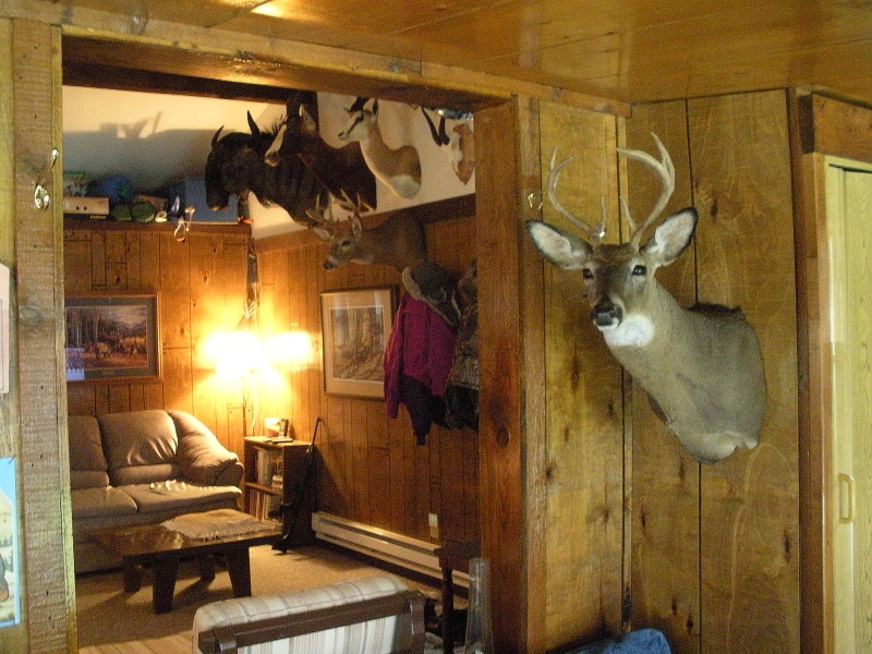 View from entry area and the cabin's permanent residents, some of whom we met in Africa four years ago.