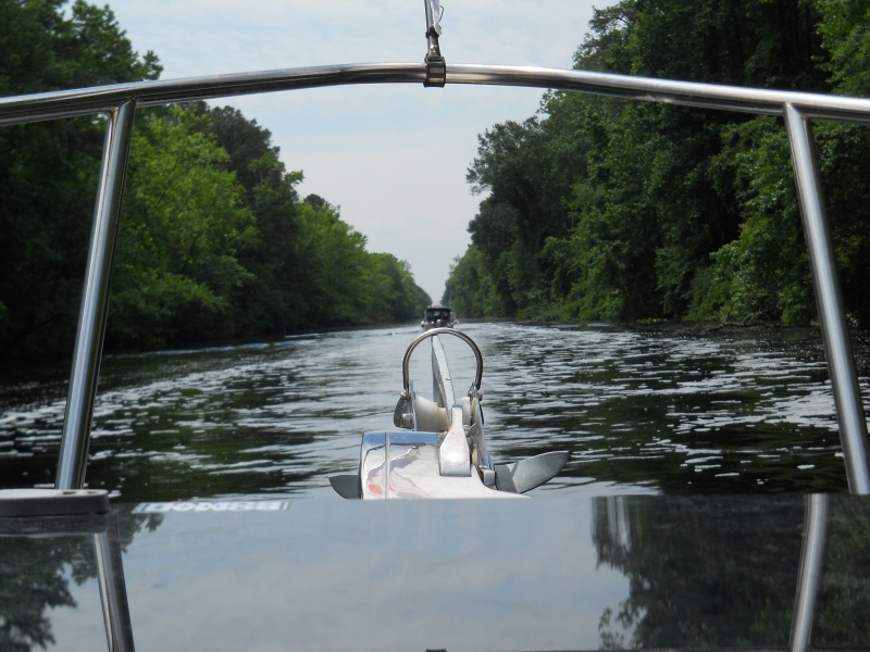 View from the Munchkin in the Dismal Swamp