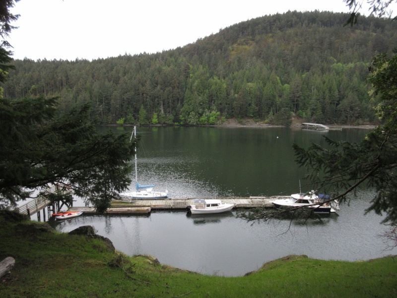 View from the trail above Reid Harbor dock