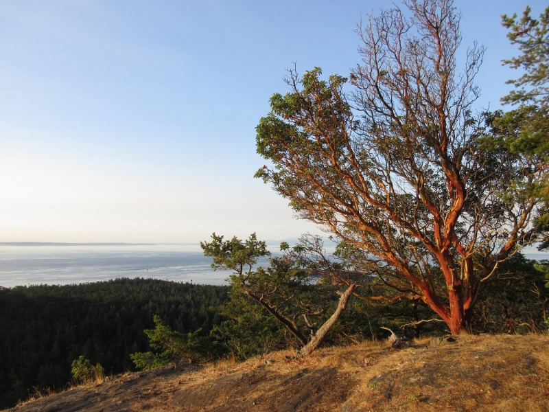View from top of Chadwick Hill