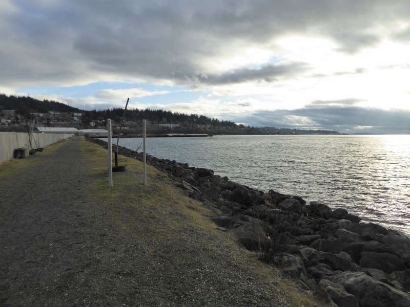 View of bay from new trail