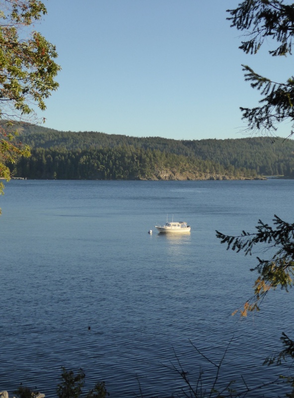 View of boat from the trail