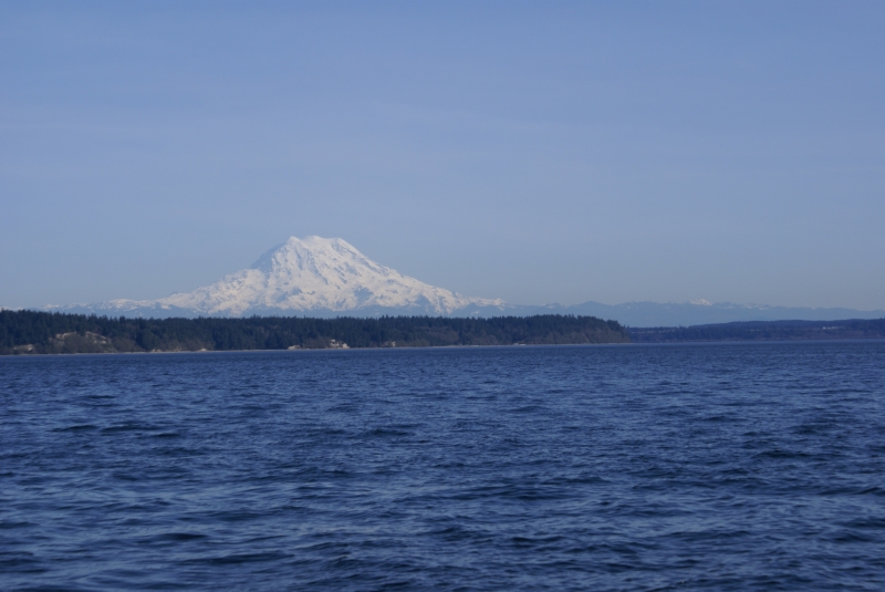 View of Mount Rainier to the SE when leaving our home port at Zittel's Johnson Point Marina.