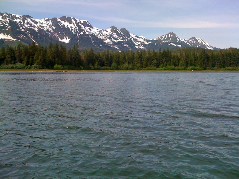 View of mountains facing west in Oliver Inlet.  Large boulders dot the shoreline.  Bears are well camouflaged.