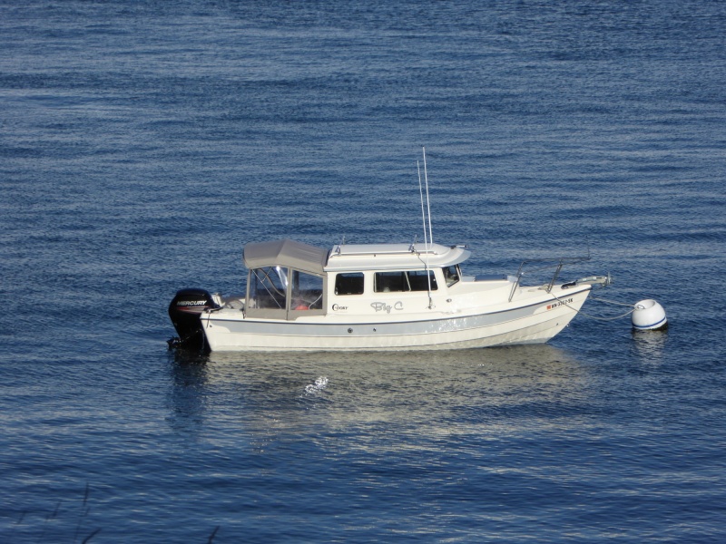 View of the boat from James Island