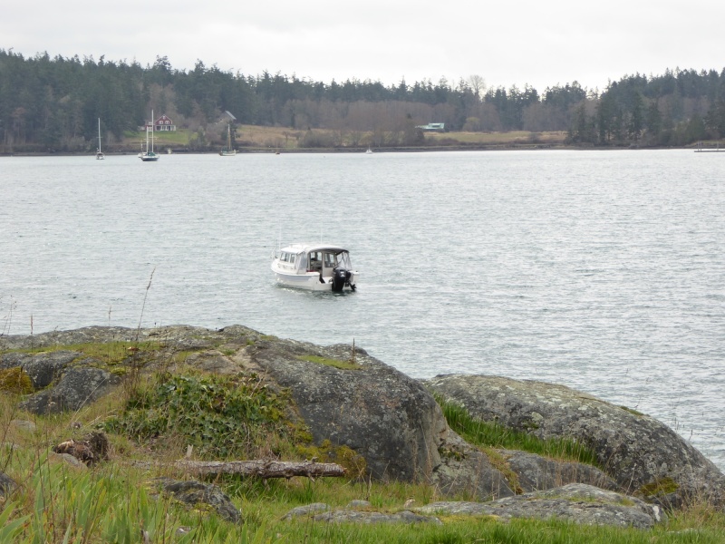 View of the four mooring buoys from Blind Island