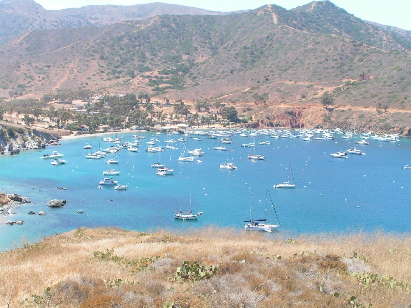 View of the Isthmus