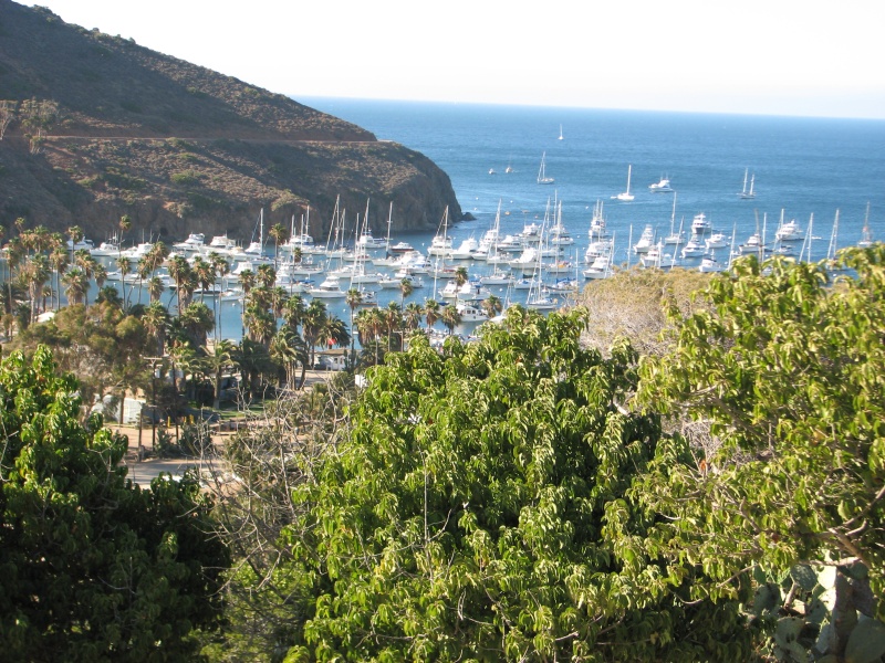 View of Two Harbors from Banning House