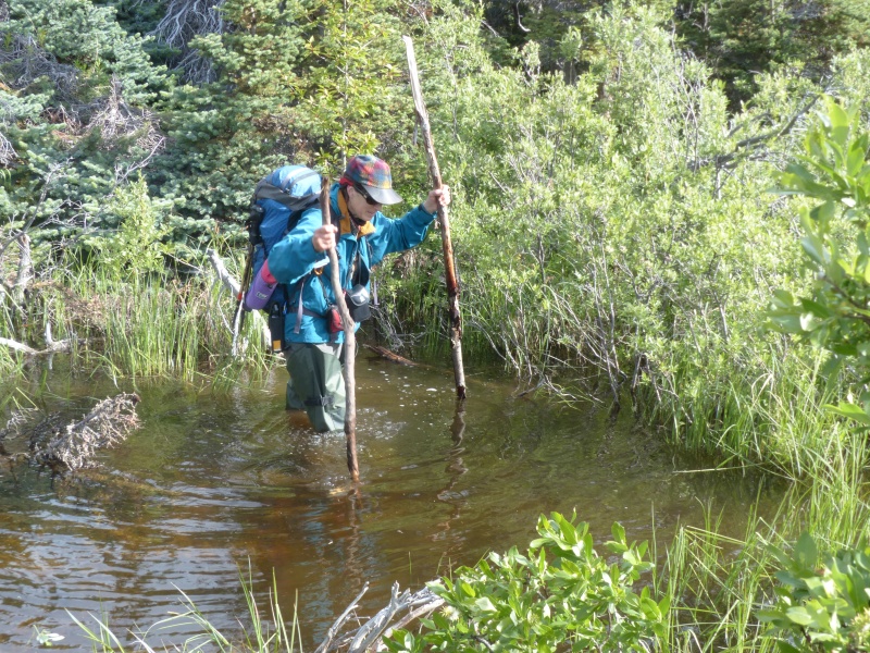 Wading Creek to get to Llewellyn Glacier Hike