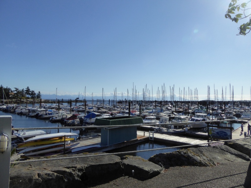 Waiting out the winds, again. This time from peaceful Schooner Cove Monday morning.