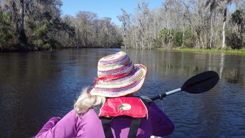 Wakulla River