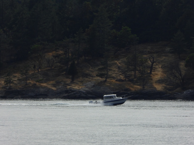 Walking around Gossip Island and...hey, look at that good looking boat coming in!