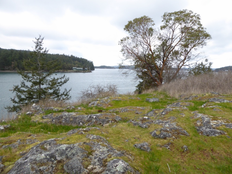 Walking up to the top of Blind Island