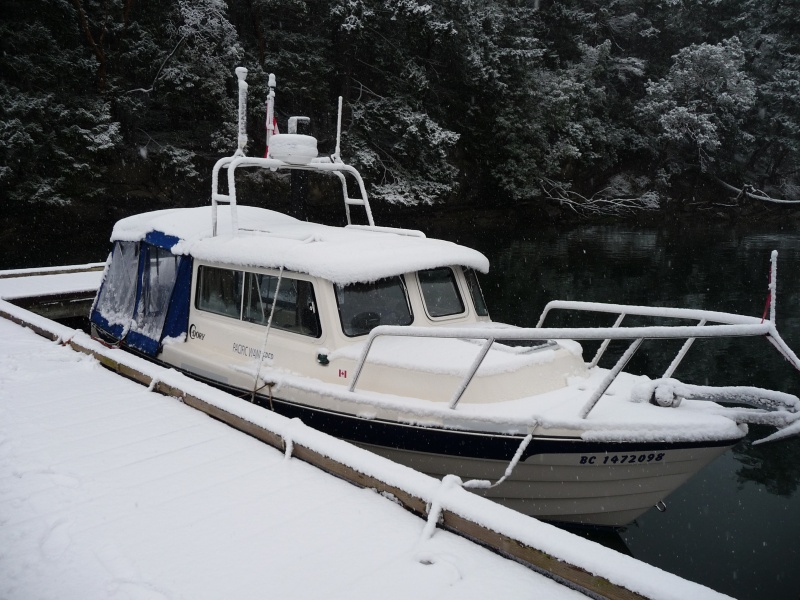 Wallace Island