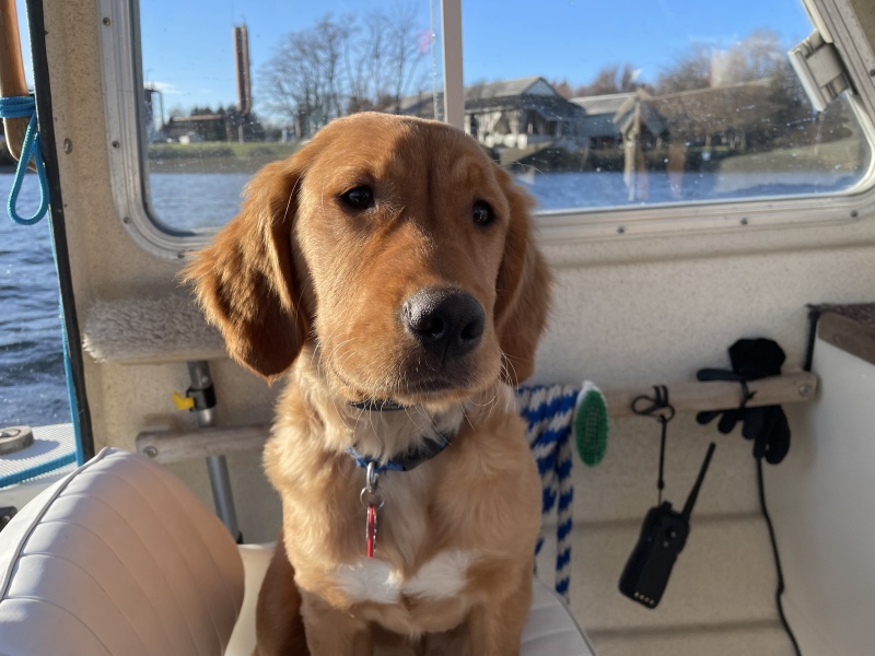Walt\'s first boat ride