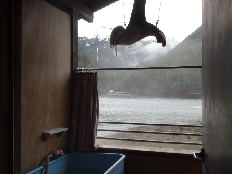 Warm Spring Bay view from hot tub