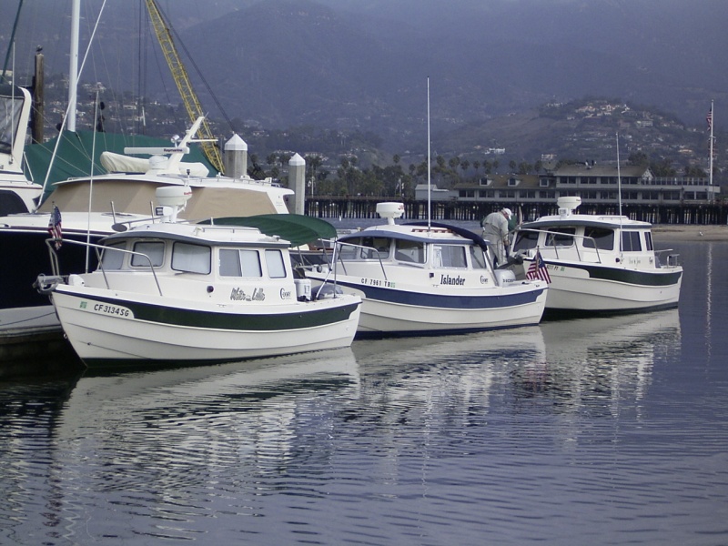 Water Lillie, Islander, Dora Jean