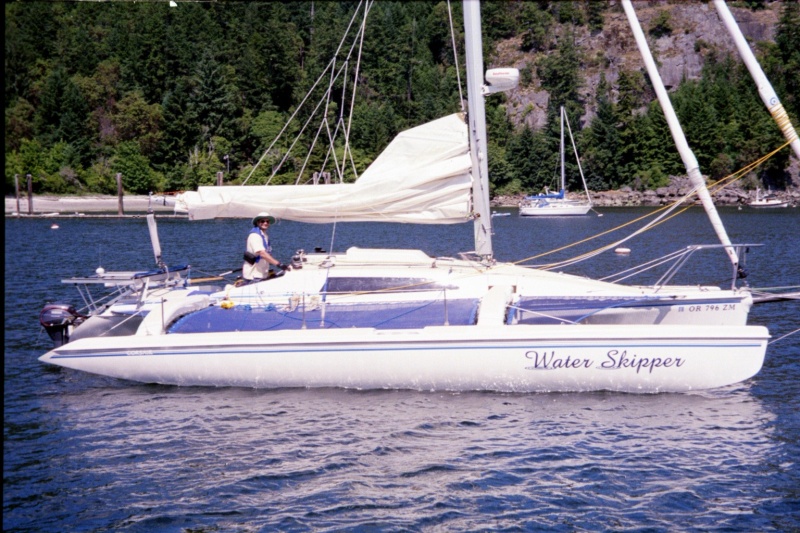 Water Skipper 2.jpg
