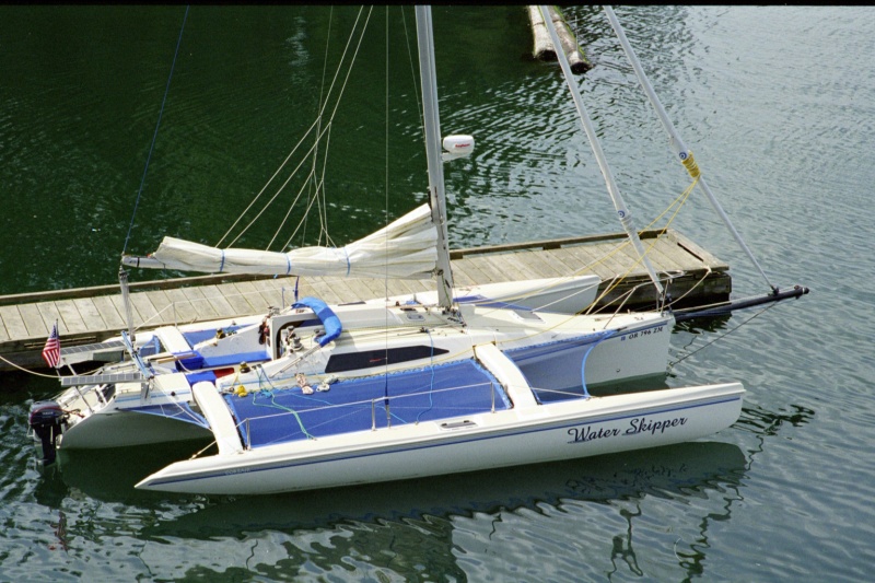 Water Skipper 3.jpg