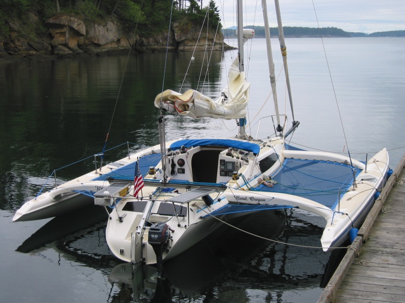 Water Skipper 4.jpg