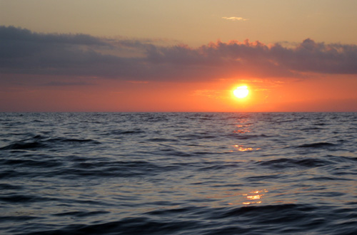 Waves in the Gulf