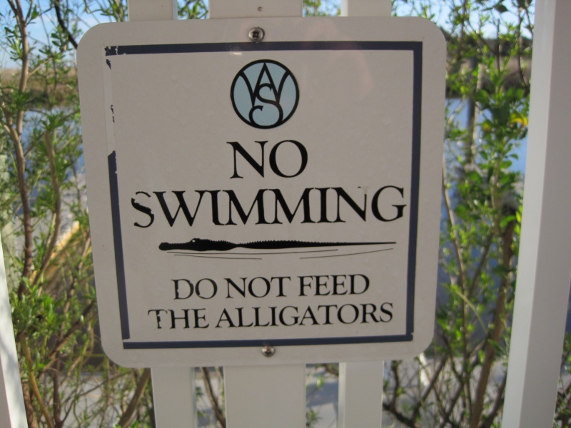 We decided not to swim ...
