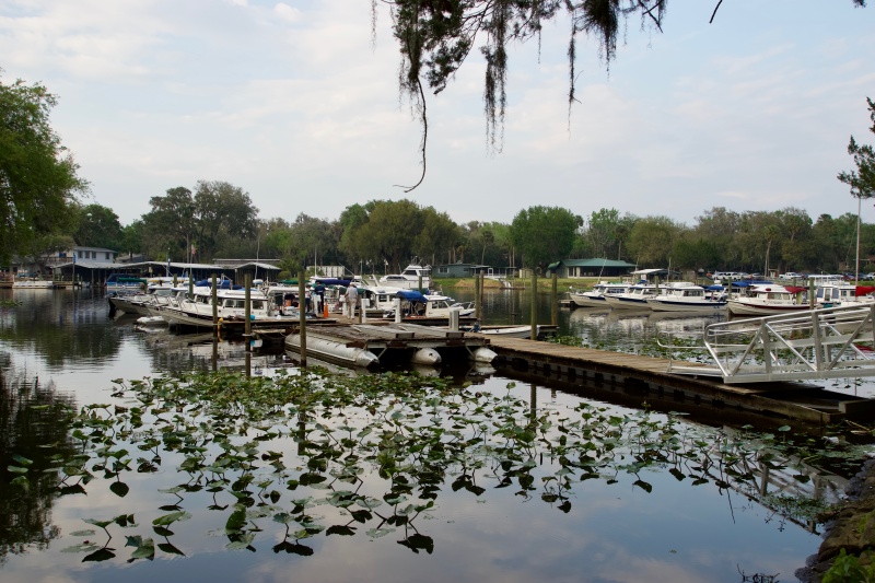 We had about 27 boats, plus perhaps 10 who came by land without their boats.