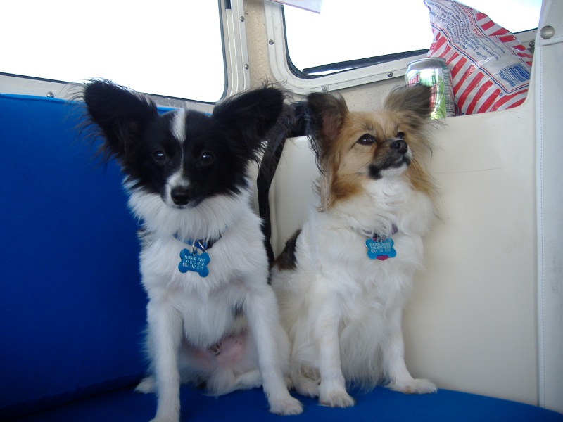 We love this boating stuff