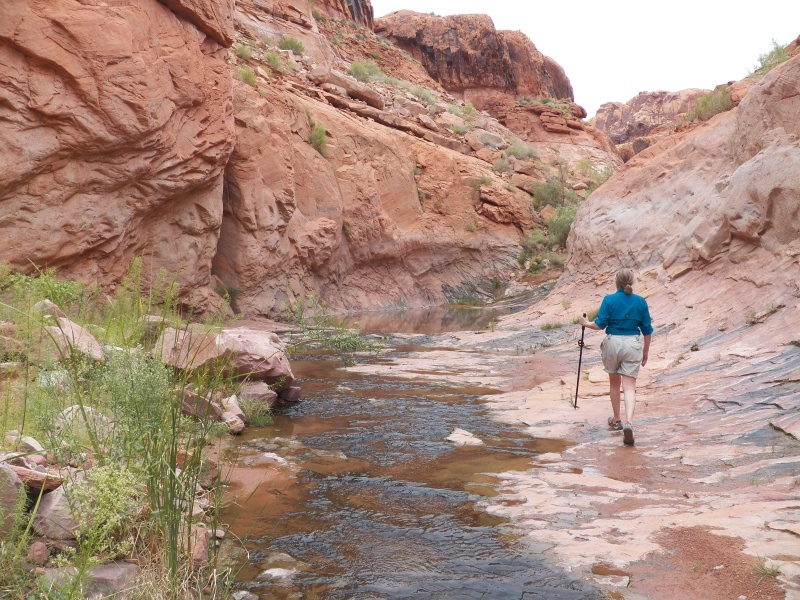 We stopped at the head of most canyons for a walk or to eat lunch.