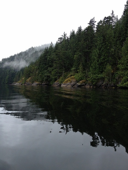 We took a run down the Alberni inlet