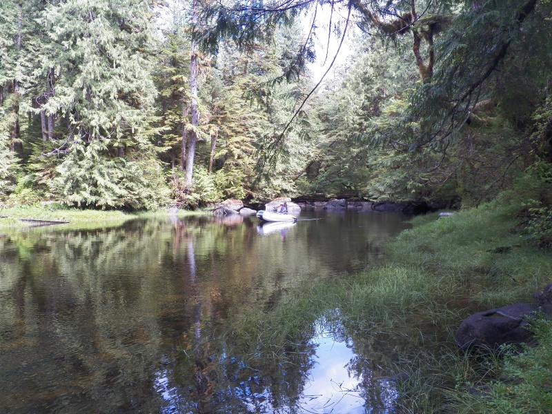 We tried to time our anchorages so that a high tide would allow us to investigate nearby creeks and rivers, sometimes for several miles.