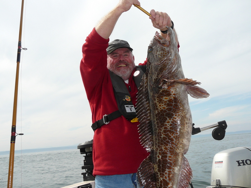 We were jigging these guys in 220ft of water with 16oz pipe jigs.