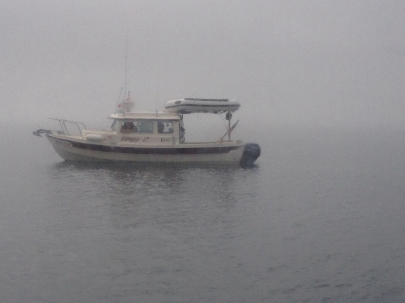Wee bit foggy