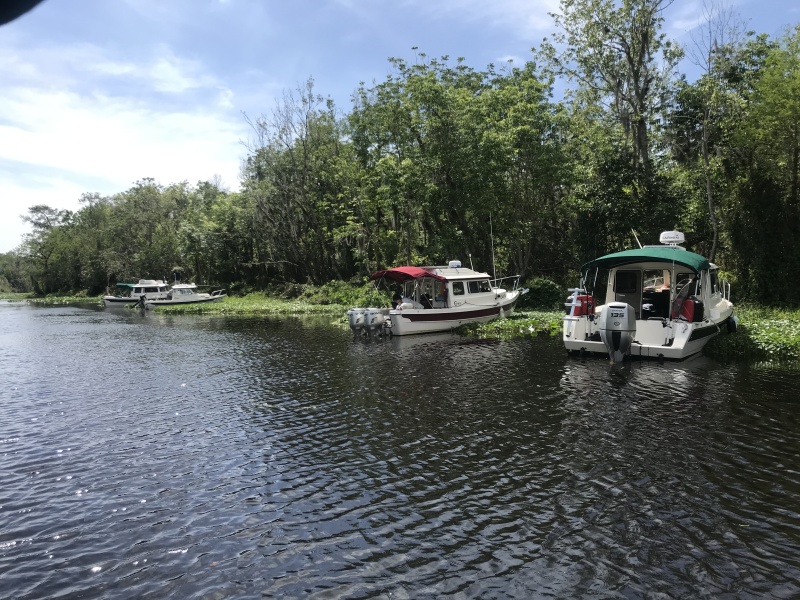 Weed anchored