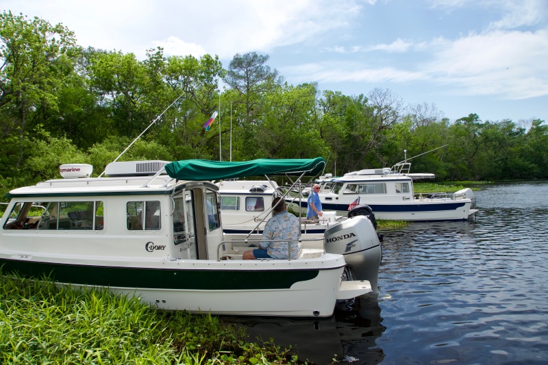Weed anchoring