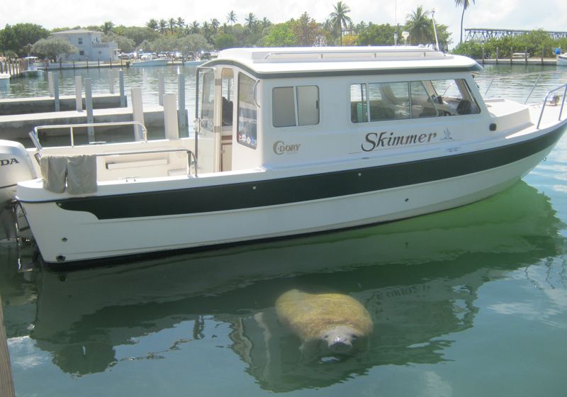 Welcome to Bahia Honda