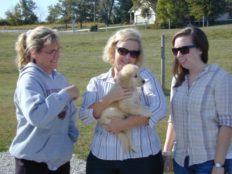 Well, we decided to get a new Golden friend...introducing "Murphy". Here, my wife Mari and our daughter Casey accept Murphy on Monday, October 4, 2010 from Alicia Maxey at Eclipse Goldens in St. Joseph, Illinois. Alicia and her husband brought Murphy back to Illinois from StarRise Goldens in Morgantown, WV. They were getting a pup for their program, and offered to bring Murphy back, too.