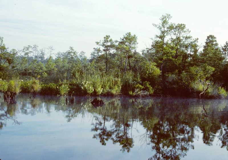 West Neck Creek before ICW entrance before marker "R16".

Scanned slide taken in July 1989