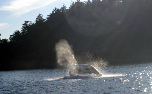 Whale photos from Dave and Carol (Sea Shift)
