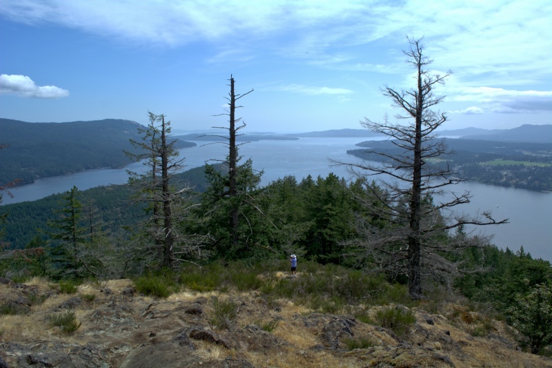 What a view looking south!