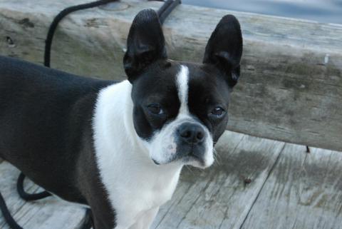 ?What are you lookin at Camera-boy??