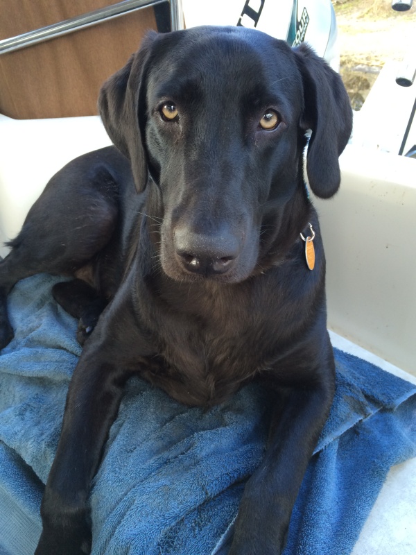 What do you mean I can\'t play in the \"gator\" water