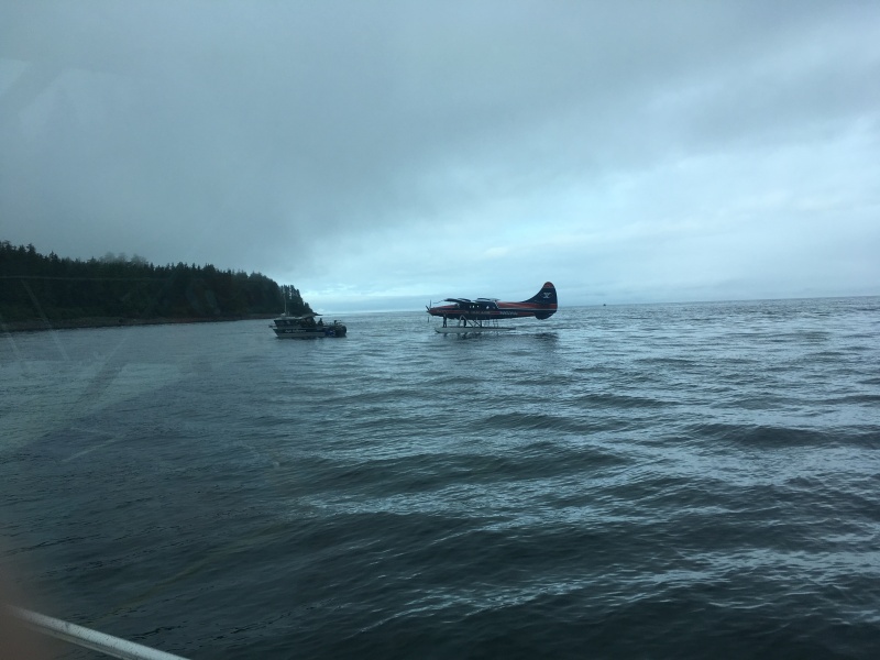 when it's foggy in town we have to go meet the planes.  It's always exciting dock on a multi-million dollar moving dock