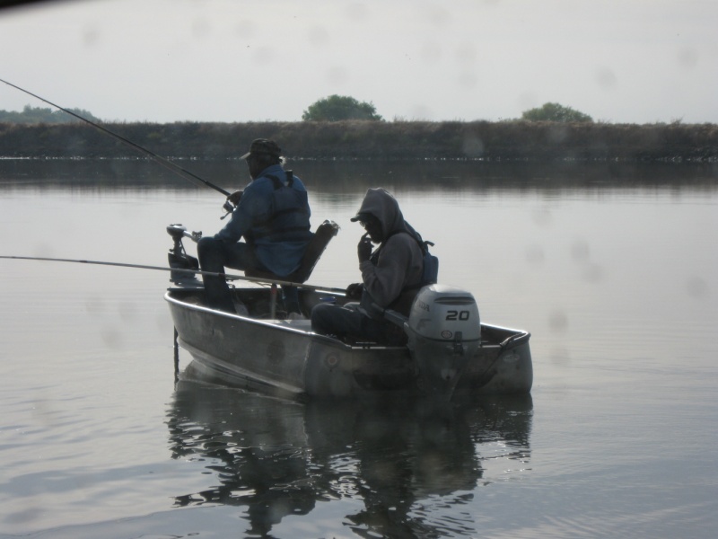 When most are going to work, these guys came by to wake me up and to try to catch a few fish.