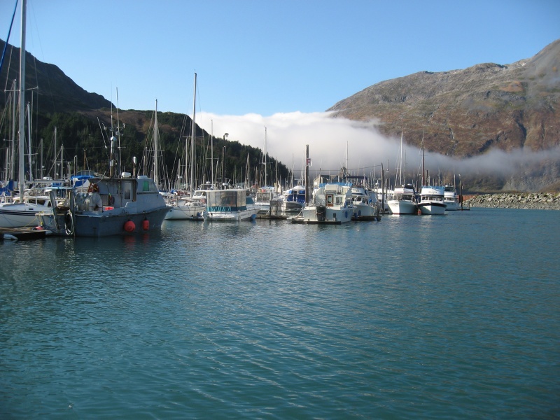 Whittier Harbour